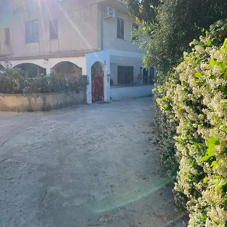 Orion 게스트하우스