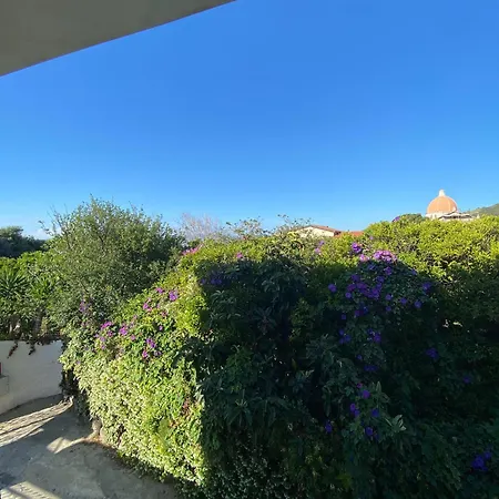 Casa de hóspedes Orion Tropea
