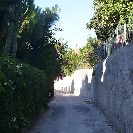 Orion 게스트하우스