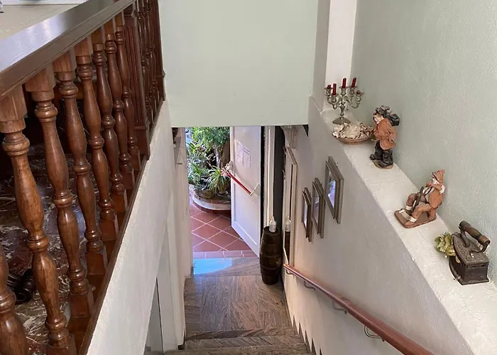 Orion בית הארחה טרופאה