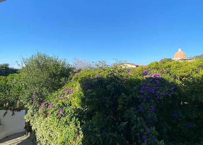 招待所 Orion 特罗佩阿