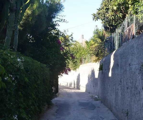 Orion בית הארחה